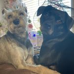Sandy Slone - @slonesand - Instagram
