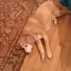 Sandy Small - @sandy.small7 - TikTok