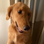 Sandra Bella - @sandy.smallwood.94 - Instagram