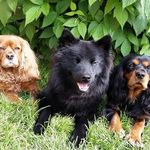 Sandy Smallwood - @smallwood_sandy - Instagram