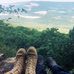 Sandy Smoak-Gardner - Facebook