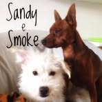 Sandy Smoke - Facebook