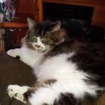 Sandy Ruthem Snodgrass - @sandy.snodgrass - Instagram