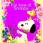 Sandy Snodgrass - Facebook
