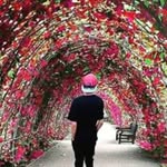 Sandy Permana - @sandy_soerabaja - Instagram