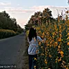 Sandy Soe - @sandy.soe63 - TikTok