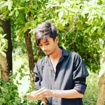 Sandy Solo - @solo7550 - Instagram