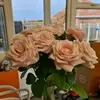 Sandysons - @xxsandysonxxx - TikTok
