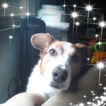 Sandy Soule-Yeary - @souleyes3112 - Instagram