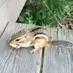 sandy_sowers - @sandy_sowers - TikTok