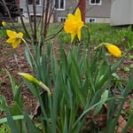 Sandy Plante Sparling - @plantesandy - Instagram