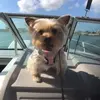 sandyspeckelsimon - @sandyspeckelsimon - TikTok