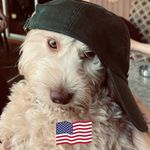 Sandy Spector - @sandy_spector - Instagram