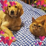Sandy Hiser Speer - @speersandra - Instagram