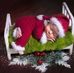 Sandy Speer - Facebook