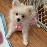 Sandy Speer - @mamajeep2021 - Instagram
