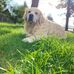 Sandy Speer - Facebook