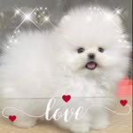 Sandy Speer - @sandyspeer9 - Instagram