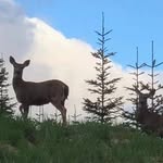 Sandy Speers - @sandy.speers16 - Instagram