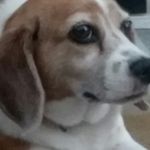 Sandy Spence - @sandy_spence123 - Instagram