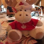Sandy Spence - @sandydiver - Instagram