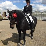 Sandy Spence - @sandyspence3 - Instagram