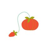 Sandy Spence - @cantherburyroadgifts - Instagram