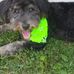 Sandy Spencer - Facebook