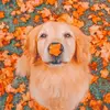 Sandy Speranza - @sandy.speranza - TikTok