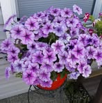 Sandy Sperry - Facebook