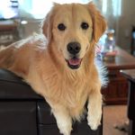 sandyspinale - @sandyspinale - Instagram