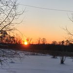 Sandy Spivey - @spivey3864 - Instagram