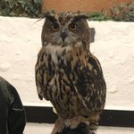 Sandra Spratt - @spratt7625 - Instagram