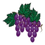 Sandy Springs Boutique Winery - @sandyspringsboutiquewinery - Instagram