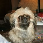 Sandy Spurling - @sandy.spurling.5 - Instagram