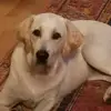 Sandy Spurling - @sandy.spurling - TikTok