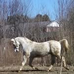 Sandy Spurlock - @sandyspurlock - Instagram