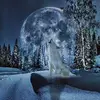 sandyjosquiresmes - @sandyjosquiresmes - TikTok
