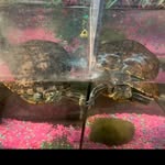 Sandy and Staley - @sandy_and_staley - Instagram