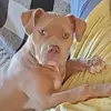 Sandy Overman Staley - @sandy.overman.sta - TikTok