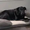 Sandy Stamper - @sandy.stamper - TikTok