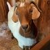 Sandy Stanford - Facebook