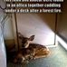 Sandy Stapp - Facebook