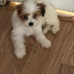 Sandy St Clair - @celest4561 - Instagram