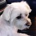 Sandy StClaire - Facebook