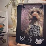 Sandy Steele - @bonnsquaretherapyroom - Instagram
