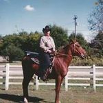 Sandy Steele - @minihorses60 - Instagram