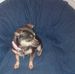 Sandy Sterling - Facebook