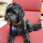 Sandra M. Stoddard - @sandywood1130 - Instagram