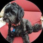 Sandra M. Stoddard - @sandywood113089 - Instagram